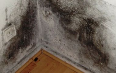 Почему в углах комнаты зимой появляется конденсат, даже если стены утеплены?